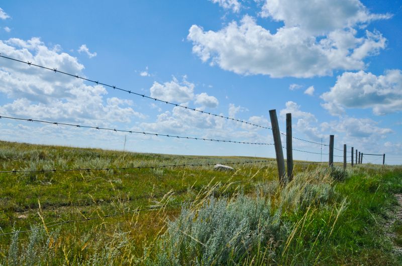 Wire Fencing Service